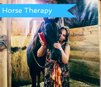 Equine Therapy Spring Mills PA
