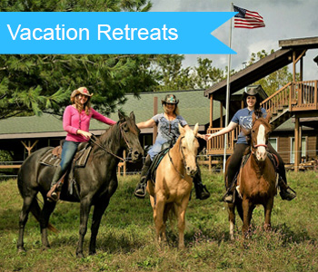 Horse Therapy Spring Mills PA