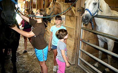 kids helping clean horses.