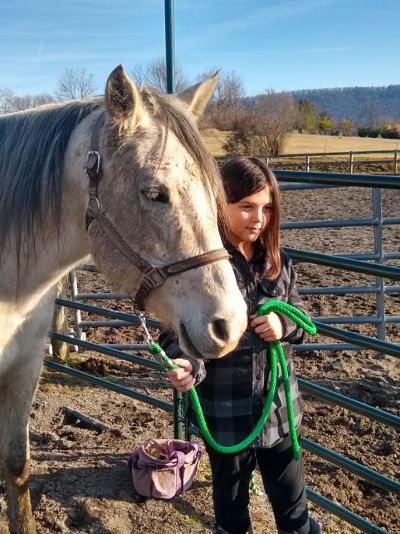 Horse Therapy for Depression Spring Mills PA