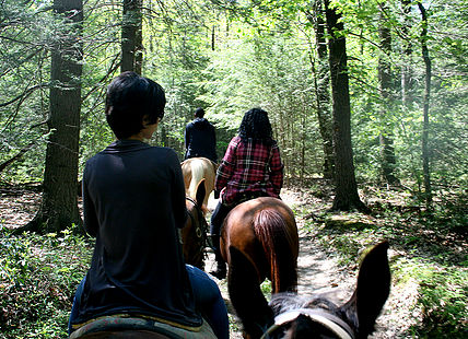 Horseback Riding Lessons Spring Mills PA